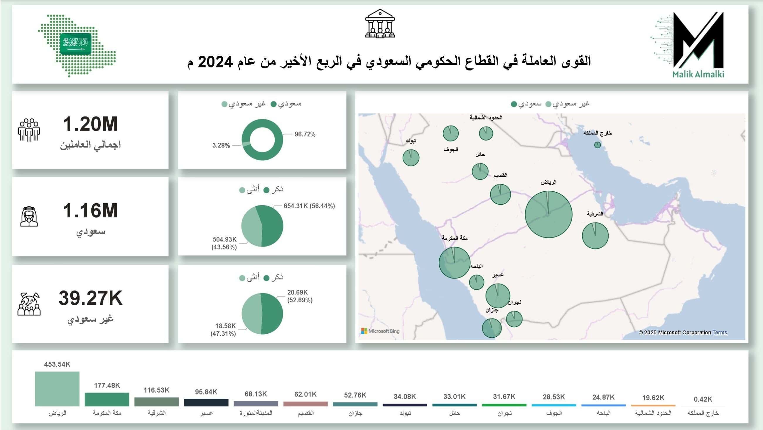 Government Sector Saudi Arabia-2024